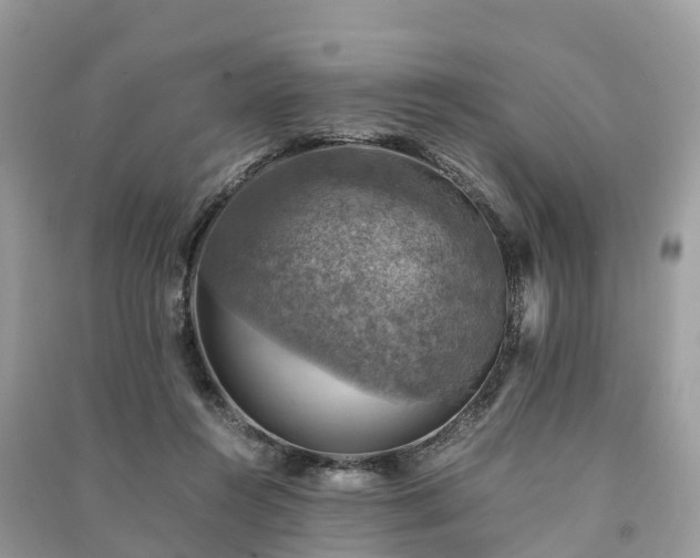 X0000091010360200708091606
