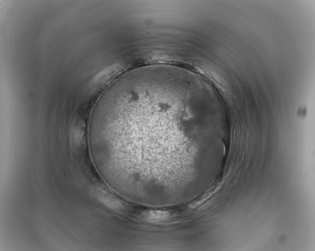 X0000091010361200708091606