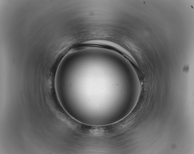 X0000091010362200708091606