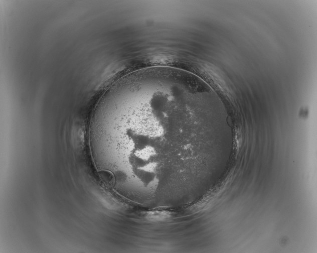 X0000091010363200708091606