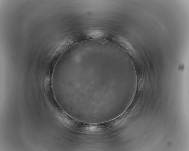 X0000091010365200708091606