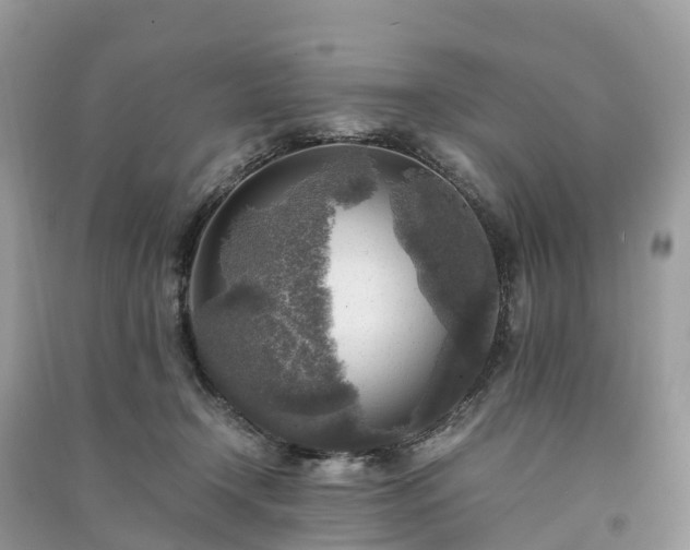 X0000091010366200708091606