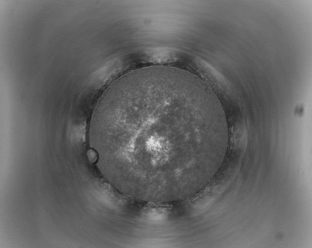 X0000091010368200708091606