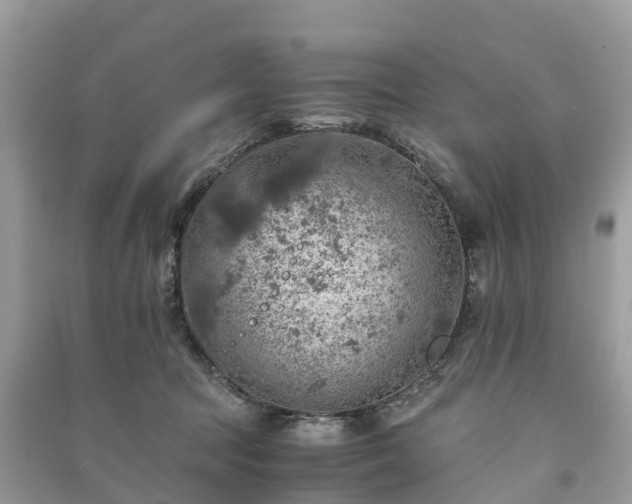 X0000091010369200708091606