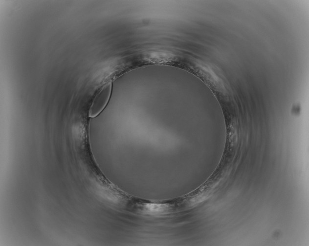 X0000091010371200708091606