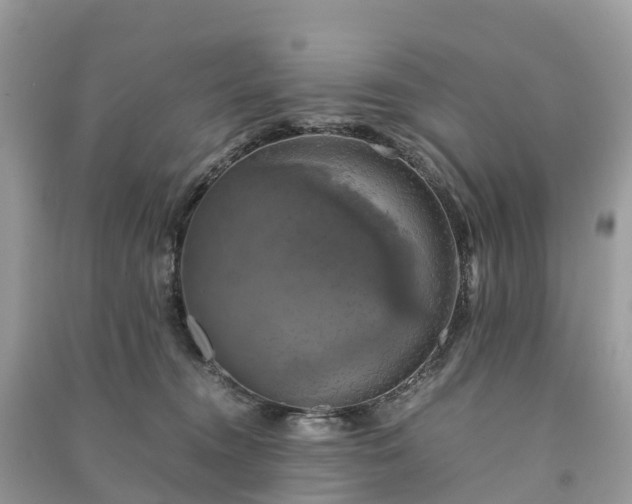 X0000091010372200708091606