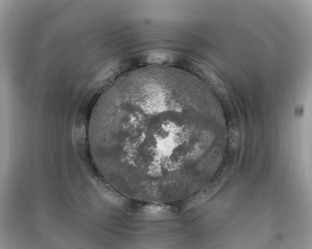 X0000091010375200708091606