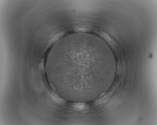 X0000091010377200708091607