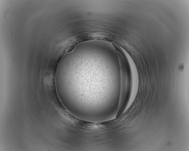 X0000091010379200708091607
