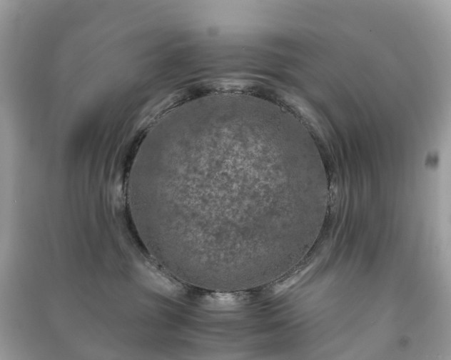 X0000091010381200708091607