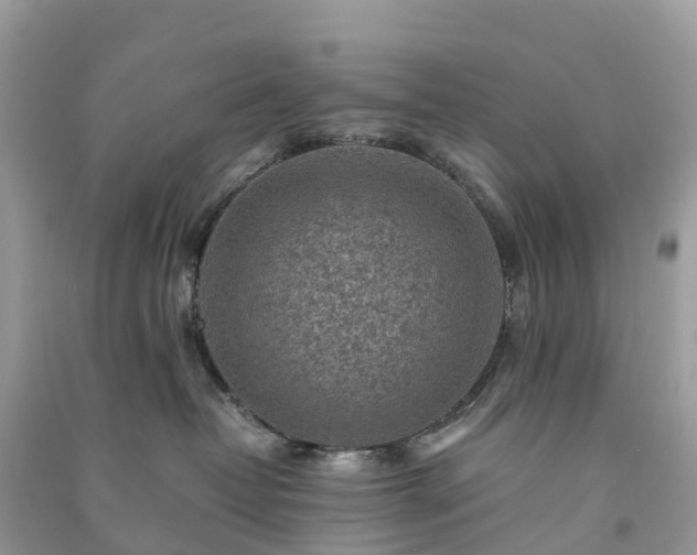 X0000091010382200708091607