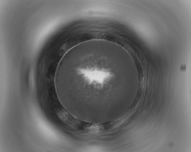 X0000091010383200708091607