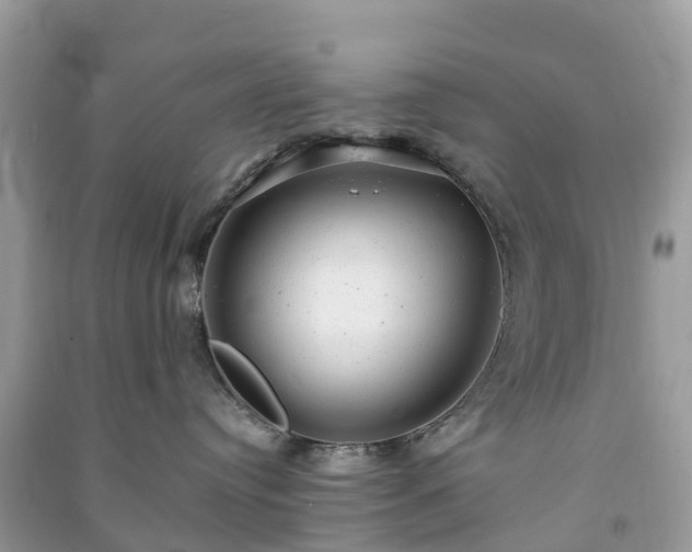X0000091010384200708091607