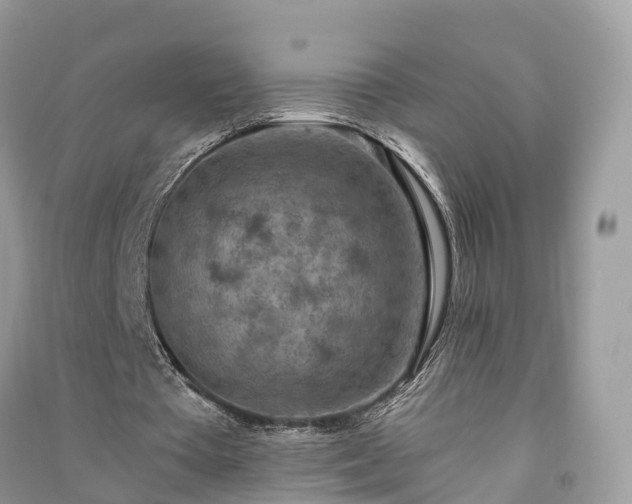 X0000091010385200708091606