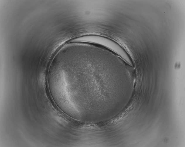 X0000091010386200708091606