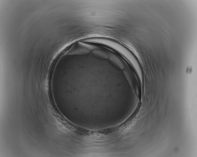 X0000091010387200708091606