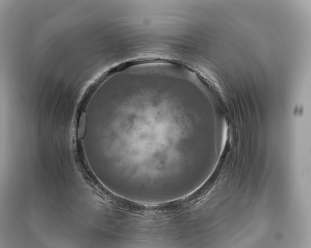 X0000091010388200708091606