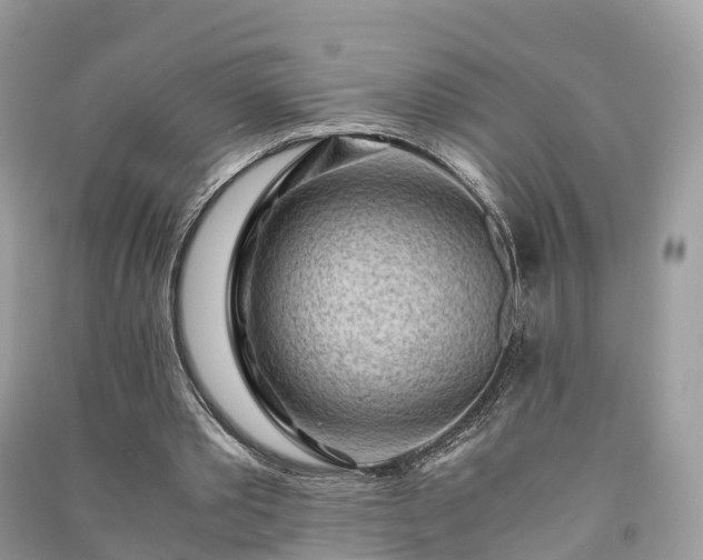 X0000091010389200708091606
