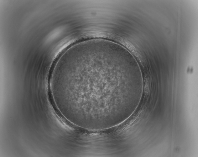 X0000091010390200708091606