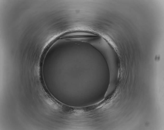 X0000091010391200708091606