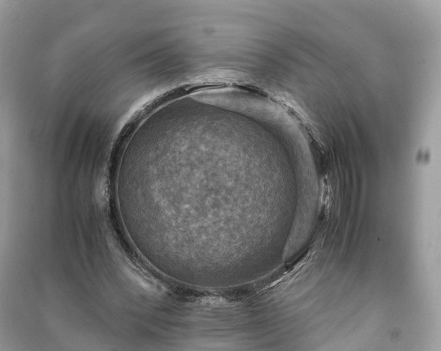 X0000091010392200708091606