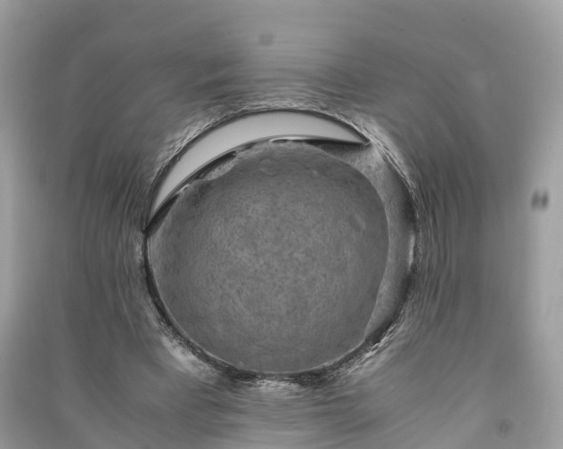 X0000091010393200708091606