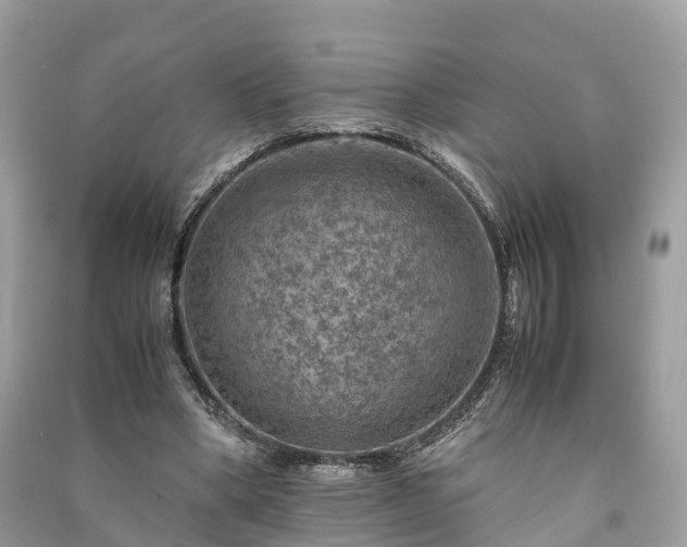 X0000091010394200708091606