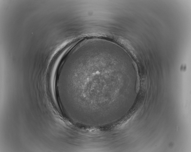 X0000091010395200708091606