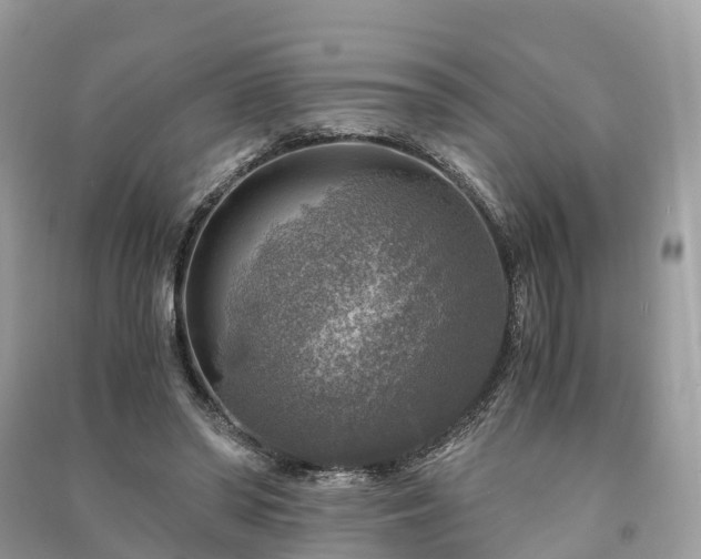 X0000091010398200708091606