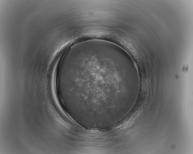 X0000091010399200708091606