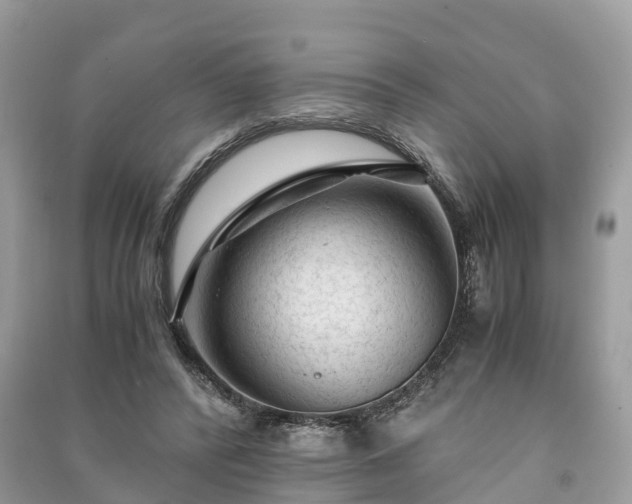 X0000091010400200708091606