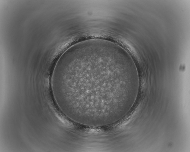 X0000091010401200708091606
