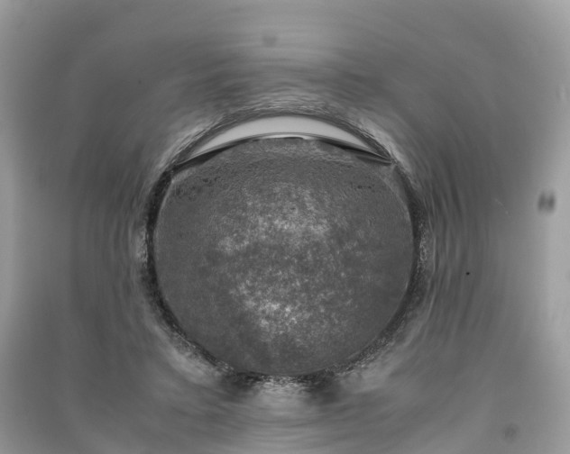 X0000091010403200708091606