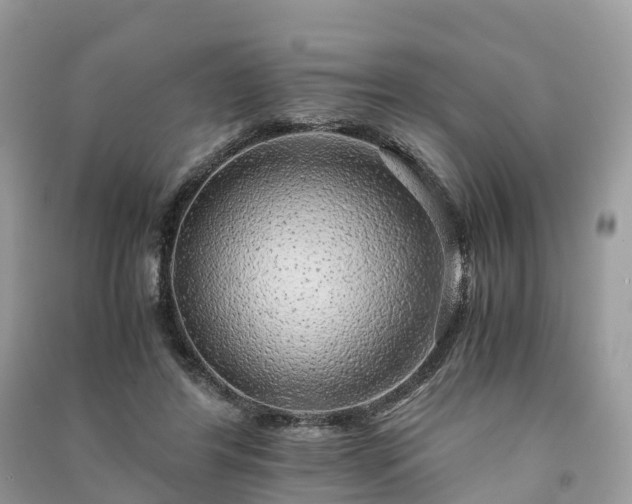 X0000091010404200708091606