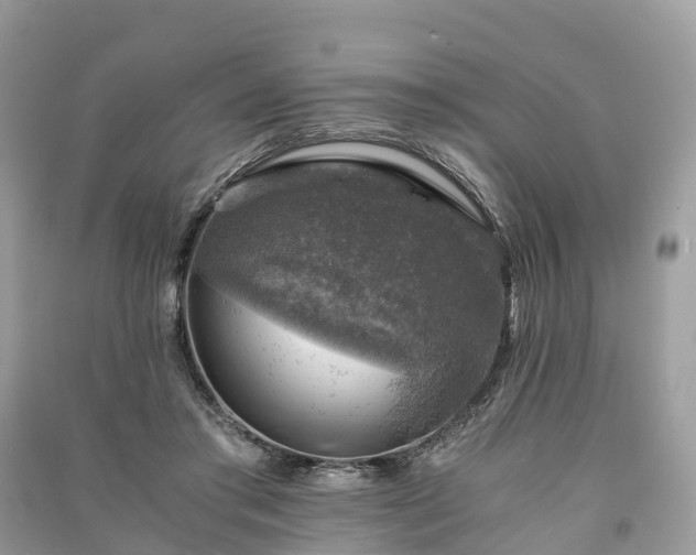 X0000091010405200708091606