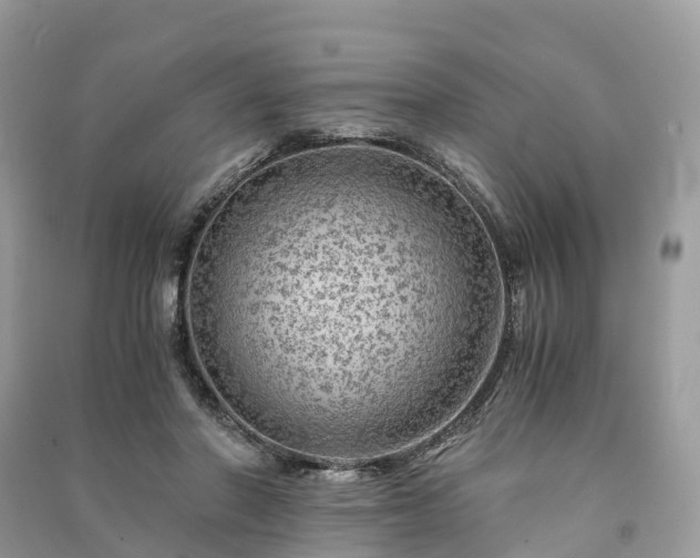 X0000091010406200708091606