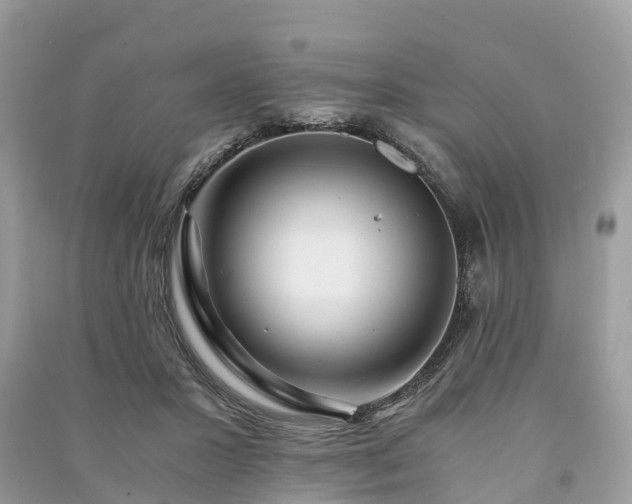 X0000091010407200708091606