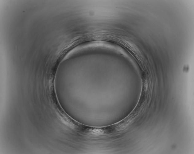 X0000091010409200708091606