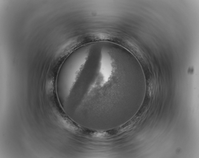 X0000091010410200708091606
