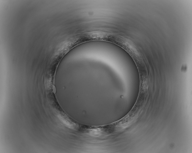 X0000091010411200708091606