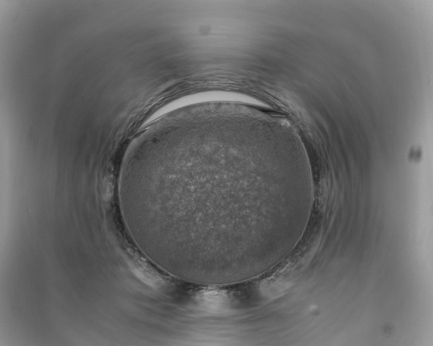 X0000091010413200708091606