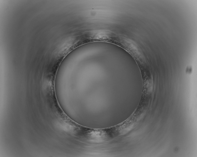 X0000091010415200708091606