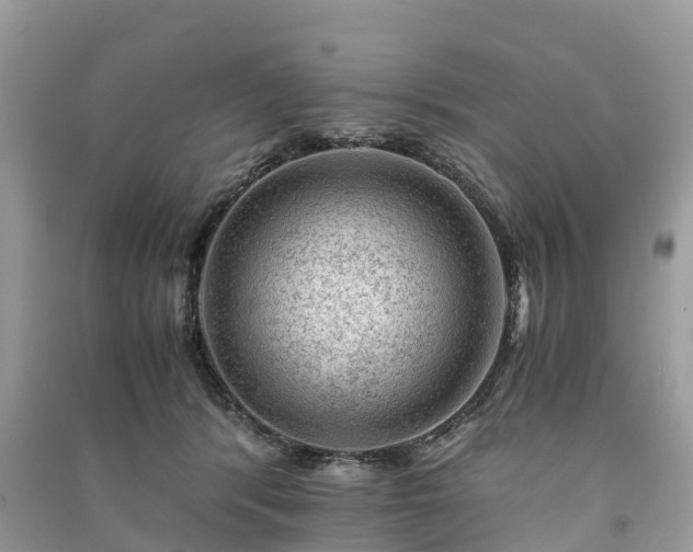 X0000091010416200708091606