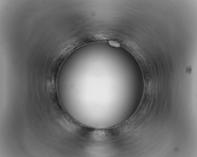 X0000091010418200708091606