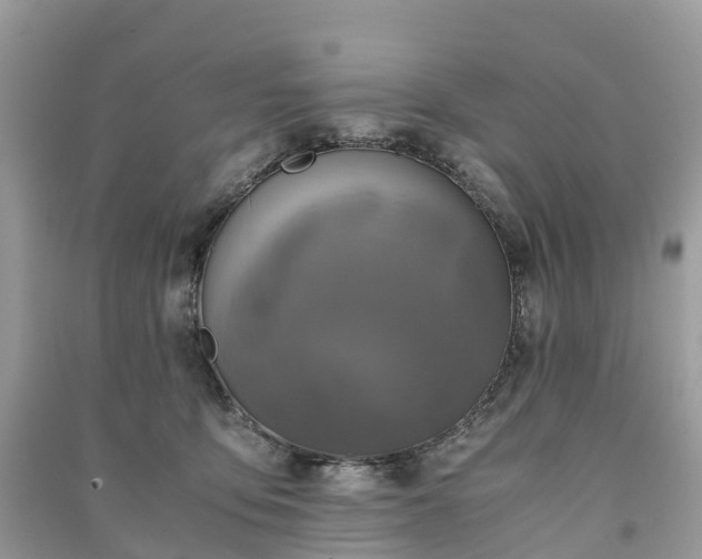 X0000091010419200708091606