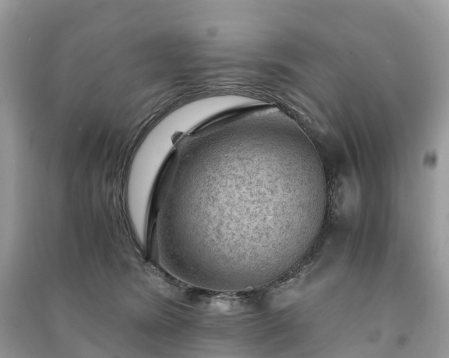 X0000091010420200708091606