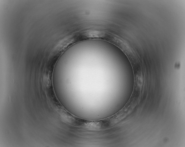 X0000091010422200708091606