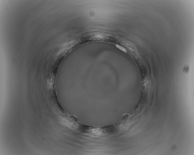 X0000091010423200708091606