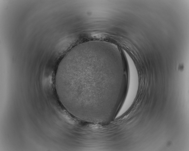 X0000091010424200708091606