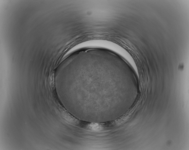 X0000091010425200708091606